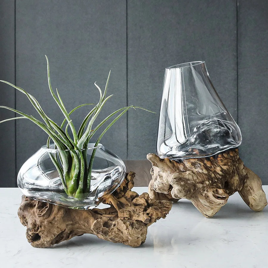 Glass Bonsai Vase Deadwood